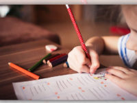 Neue Kurse im neuen Schuljahr